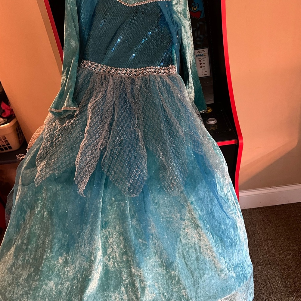 Blue Princess Kids Costume
